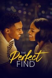 Nonton Film The Perfect Find (2023)