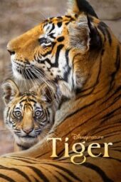 Nonton Film Tiger (2024)